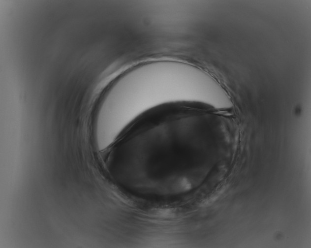 X0000094230295200711241751