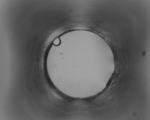 X0000094230296200711241751