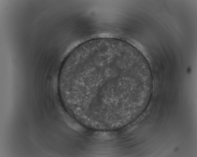 X0000094230297200711241751