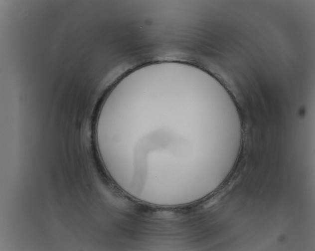 X0000094230298200711241751