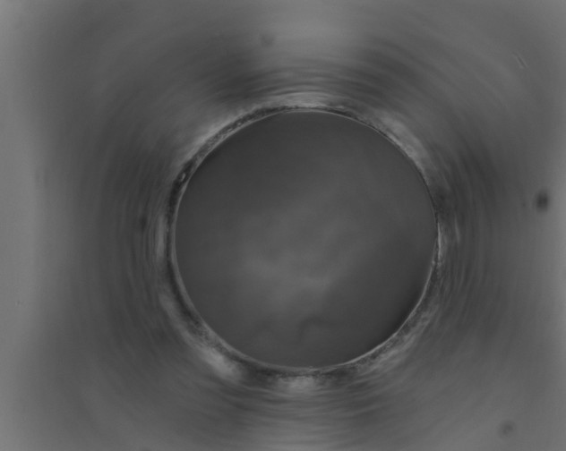 X0000094230301200711241751