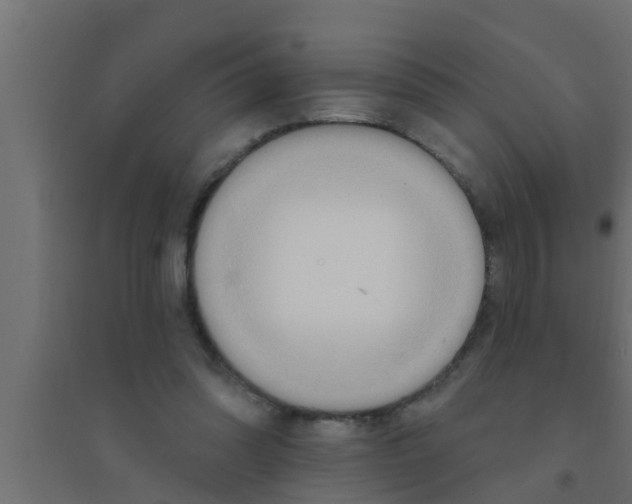 X0000094230302200711241751