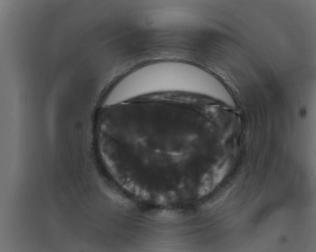 X0000094230303200711241751