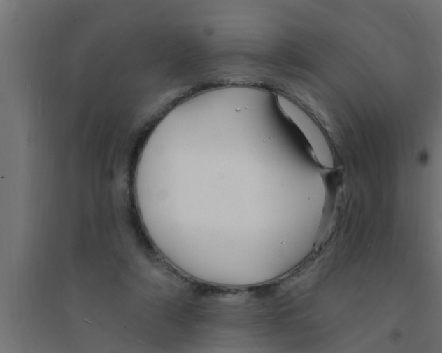 X0000094230306200711241751