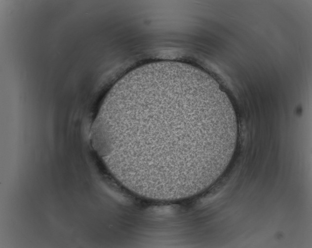 X0000094230307200711241751