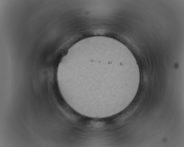 X0000094230311200711241751