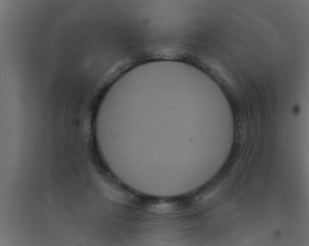 X0000094230312200711241751