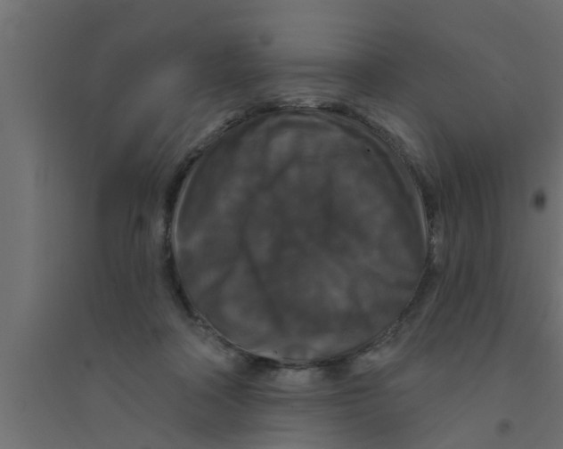 X0000094230314200711241751