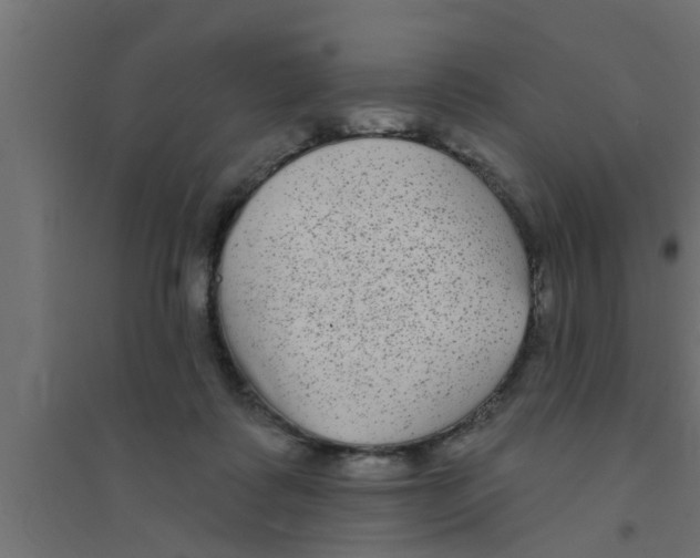 X0000094230315200711241751
