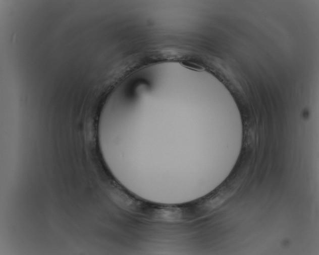 X0000094230317200711241750