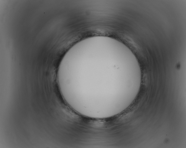 X0000094230318200711241750
