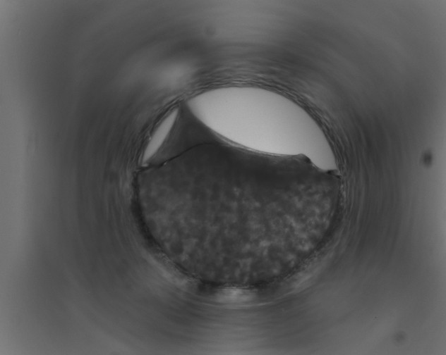 X0000094230319200711241750
