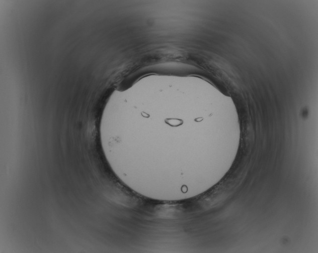 X0000094230320200711241750