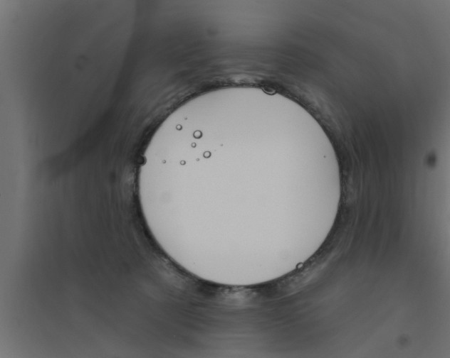 X0000094230321200711241750