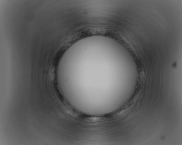 X0000094230323200711241750