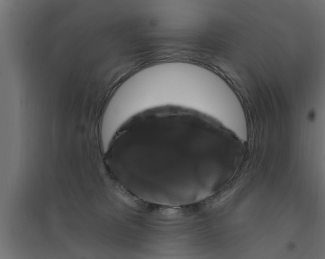 X0000094230325200711241750