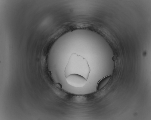 X0000094230327200711241750