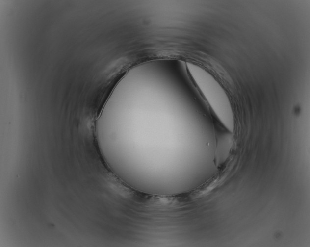 X0000094230329200711241750