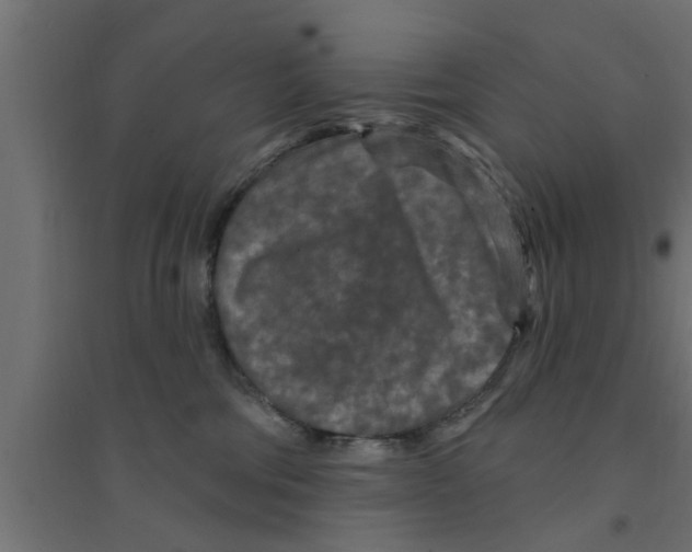 X0000094230330200711241750