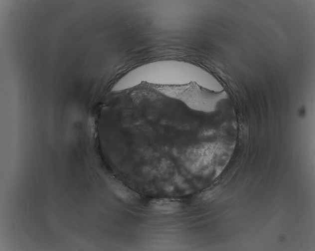 X0000094230331200711241750