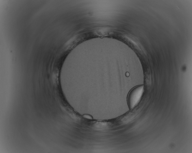 X0000094230332200711241750