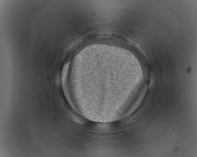 X0000094230335200711241750