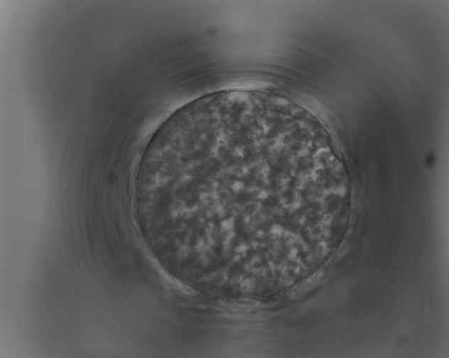 X0000094230337200711241750