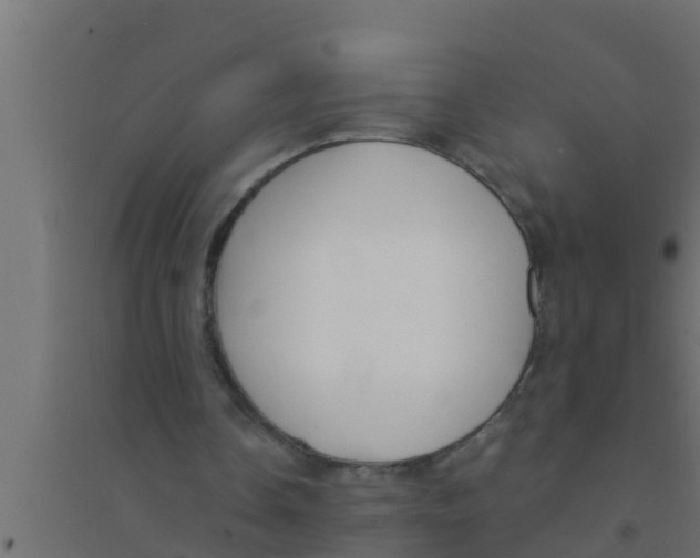 X0000094230338200711241750