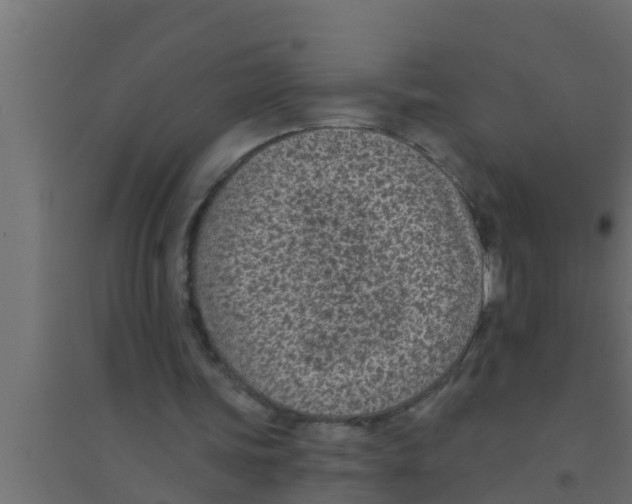 X0000094230339200711241750