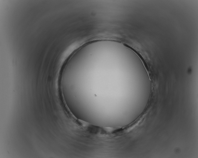 X0000094230340200711241750