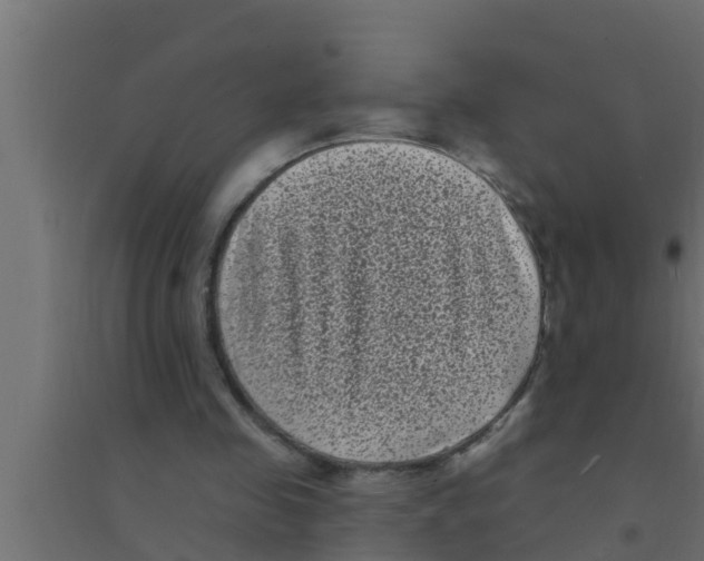 X0000094230341200711241750