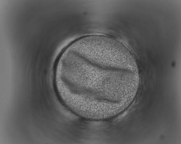 X0000094230342200711241750