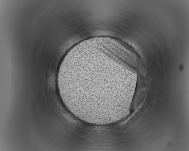 X0000094230345200711241750