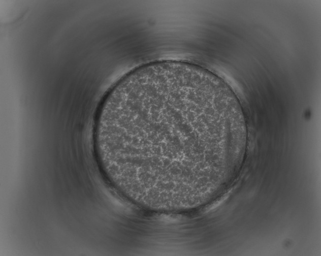 X0000094230346200711241750