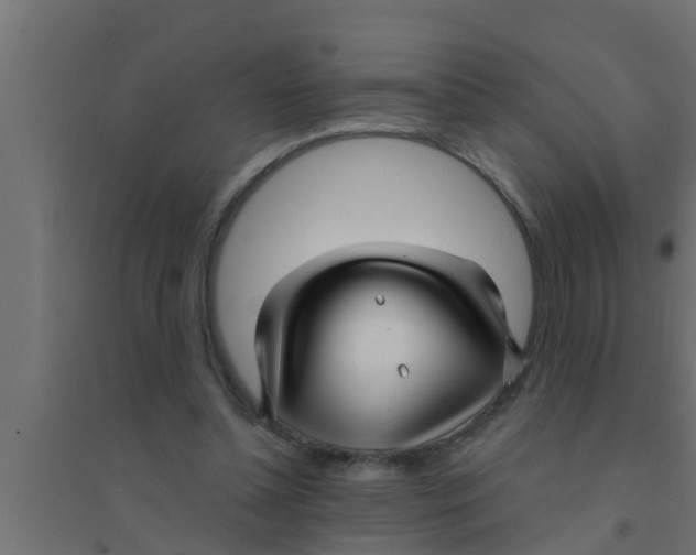 X0000094230348200711241750
