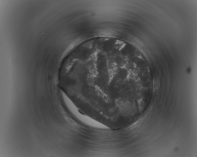 X0000094230349200711241750