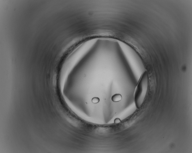 X0000094230350200711241750