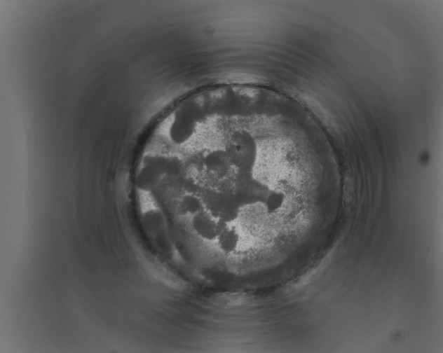 X0000094230351200711241750
