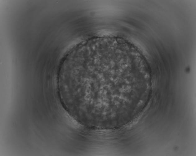 X0000094230353200711241750