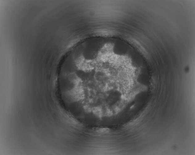 X0000094230355200711241750