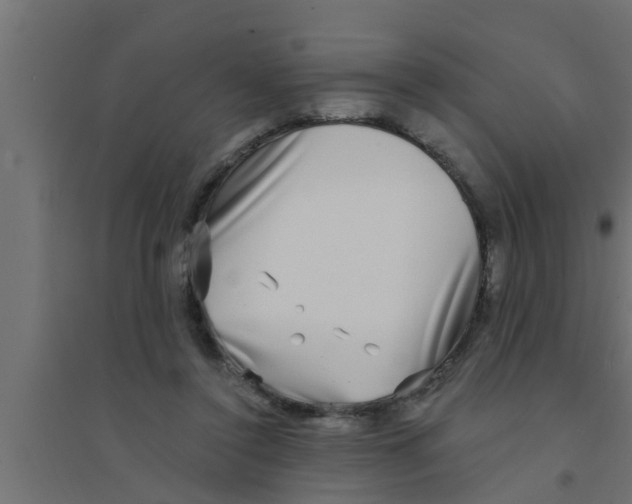 X0000094230356200711241750
