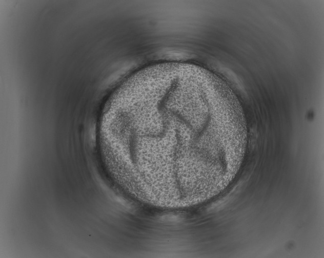 X0000094230358200711241750