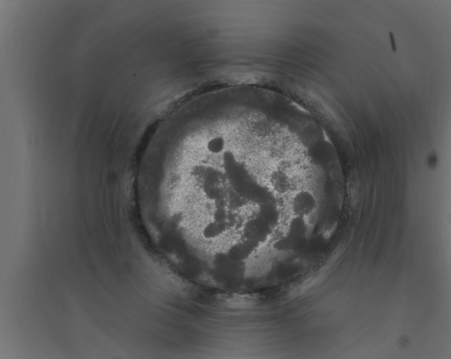 X0000094230359200711241750