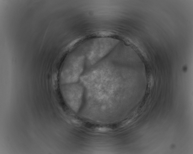 X0000094230360200711241750