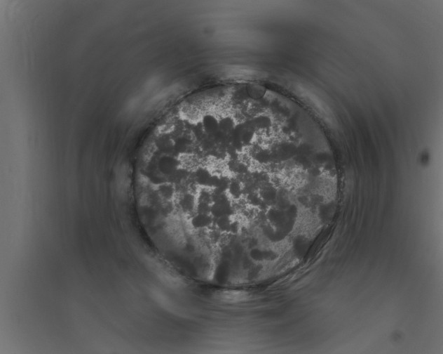 X0000094230361200711241750
