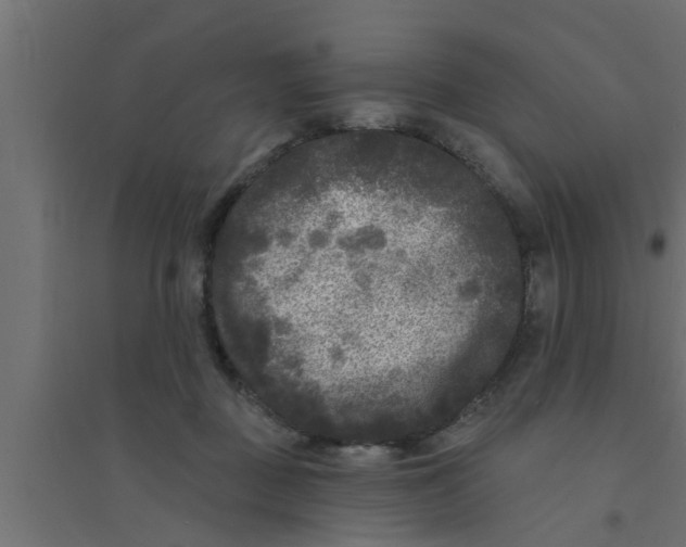 X0000094230363200711241750