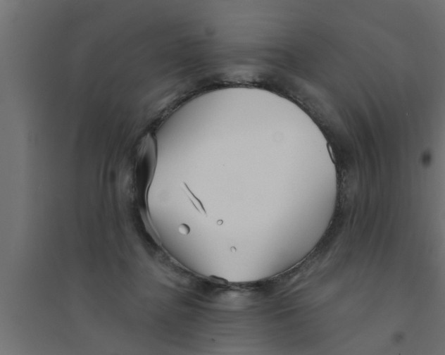 X0000094230364200711241750