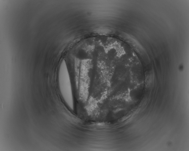 X0000094230365200711241750