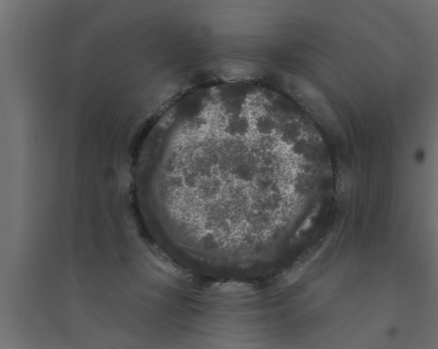 X0000094230367200711241750