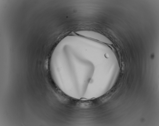 X0000094230368200711241750